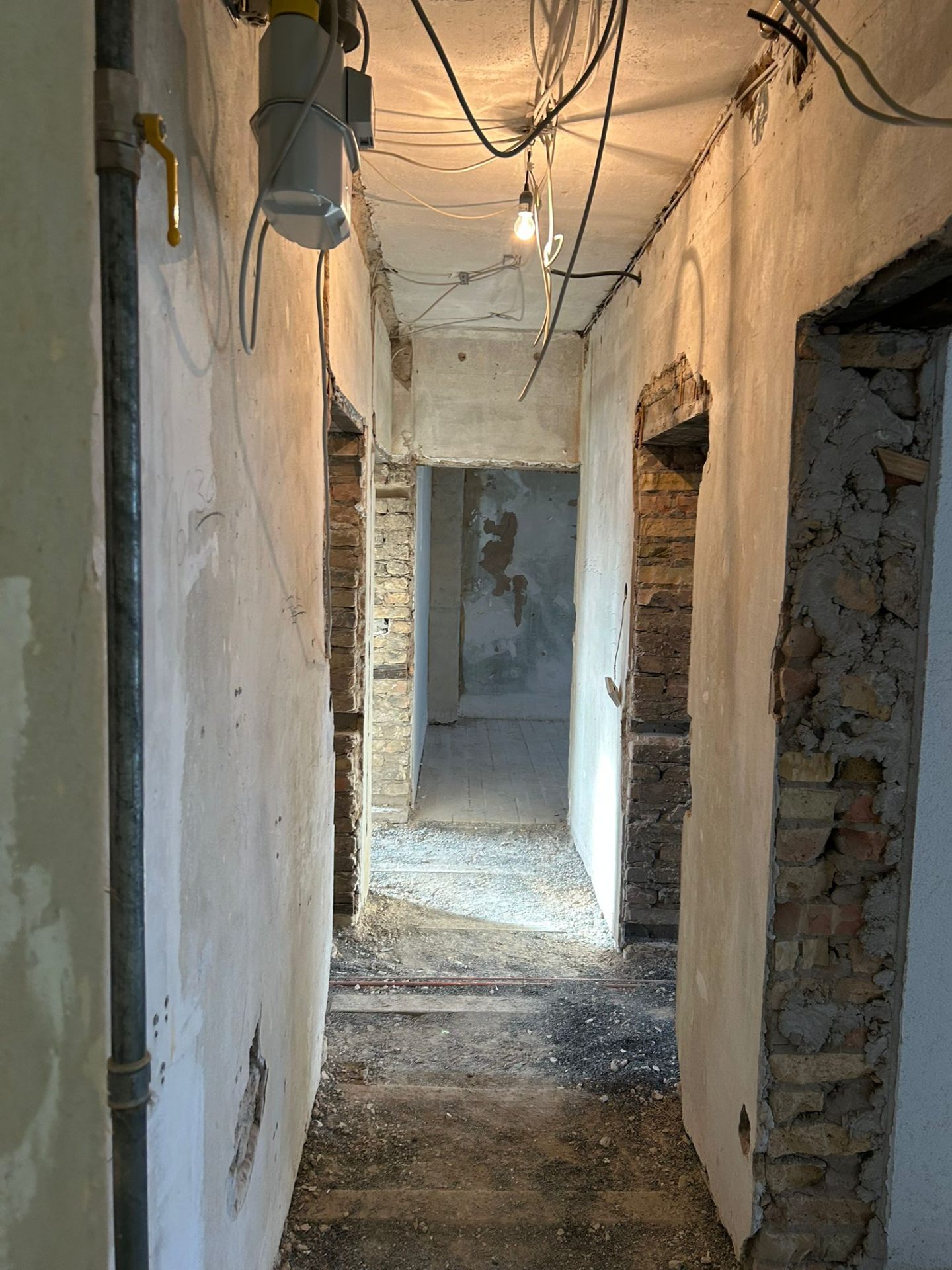Rückbau bis auf den Rohbau — Mannheim, Oststadt